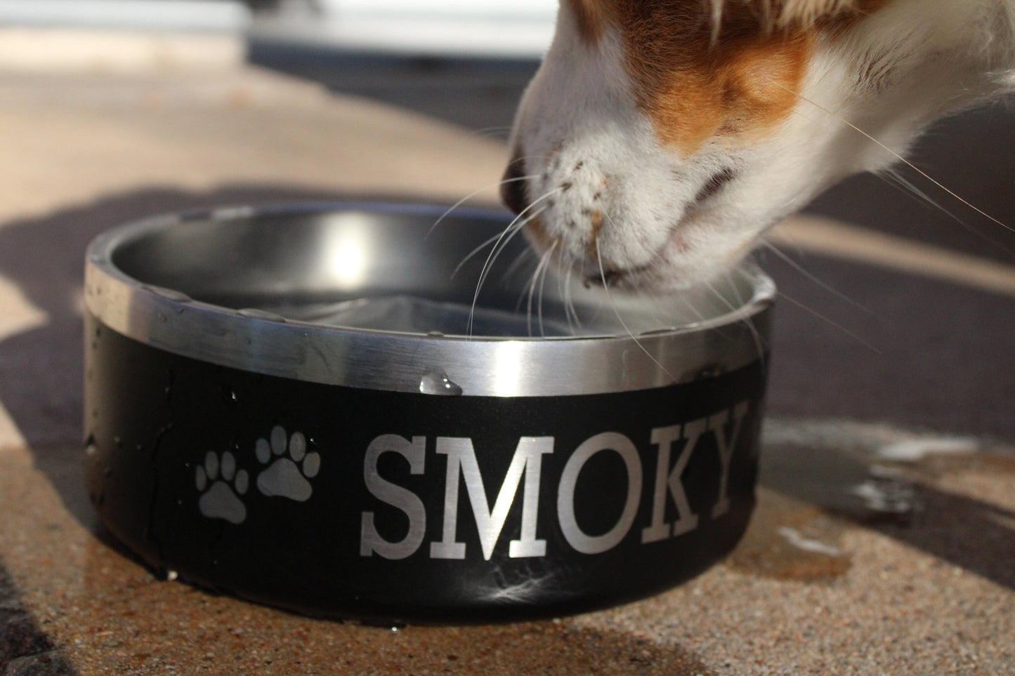 Custom Engraved Pet Bowl - UPLOAD MY LOGO - Engraved Pet Bowl - Custom Steel Bowl - Dog Bowl, Cat Bowl, Pet Bowl, Large Bowl or Small Bowl